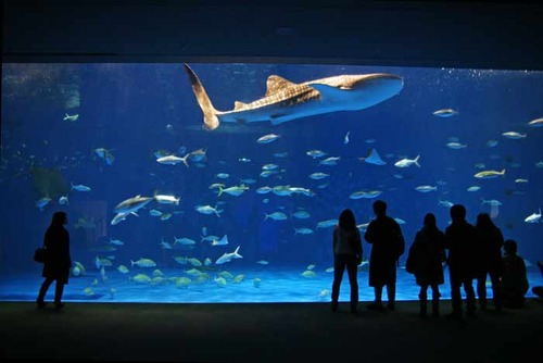 いおワールド かごしま水族館