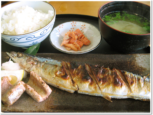 おいしい魚探検隊!(新川水産)
