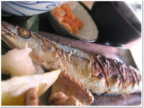 おいしい魚探検隊!(新川水産)