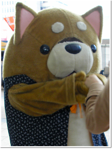 指宿編いよいよ明日にせまる!(薩摩剣士隼人)