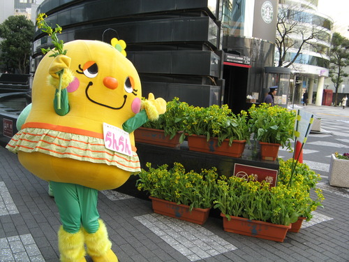 一足早い春を東京のみなさんにお届け!!