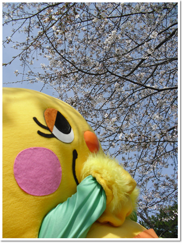 ゆるキャラ祭りin花かごしま2011