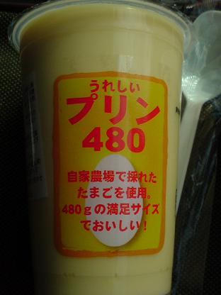 480gのプリン