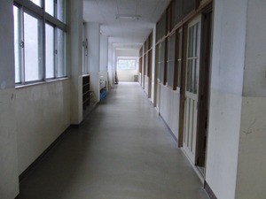 313森のがっこう