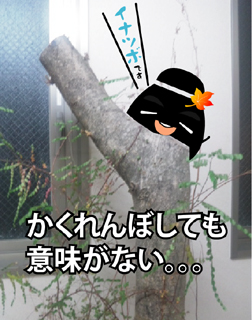こんばんは★