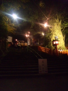 初詣♪