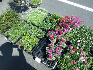 ココリ-ネさんの2周年に行ったのだぁ!篇