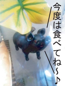 食べてないのに‥がいあさんへ篇