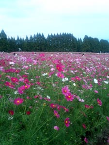 行き当たりばったり後篇