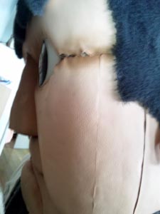ダイサイゴーみ~つけ★