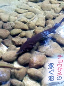 南薩へ。。。後篇