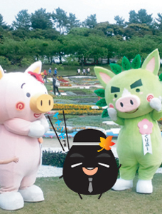 先行お知らせ