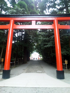 日曜日癒しの旅。。。。