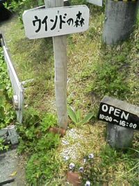 ウインドの森