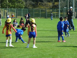 鹿児島幼児ガーデンサッカー大会
