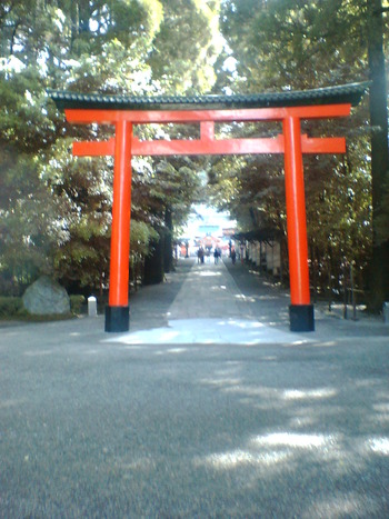 神社は朝に参りましょう☆”