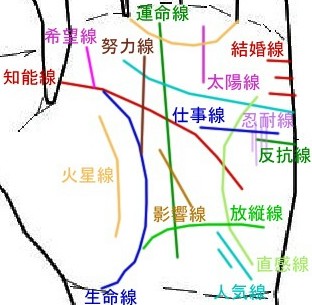 今度は手相占いじゃ♪