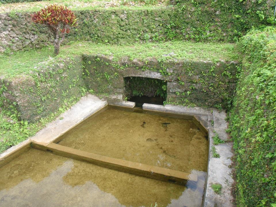 沖永良部島の湧水