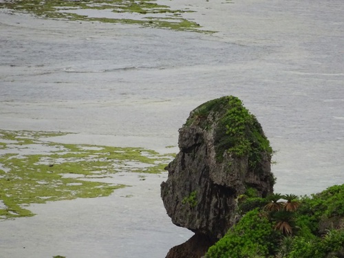 NHKさわやか自然百景　沖永良部島