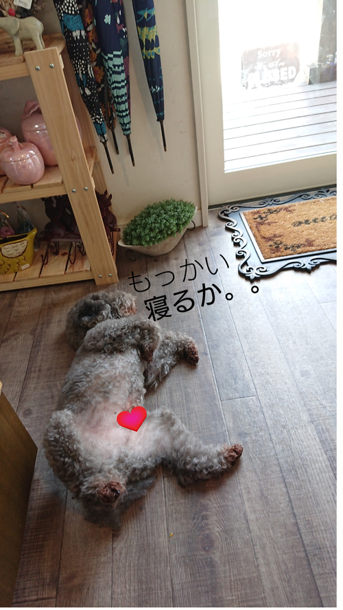 サボり サボり