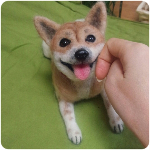 オーダーの柴犬ちゃん。 オーダーの柴犬ちゃん。