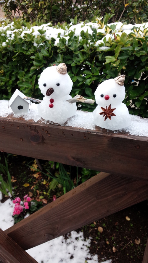 雪の日♪ 雪の日♪