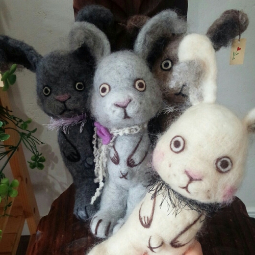 デベソウサギ デベソウサギ