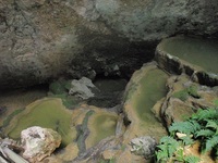 　沖永良部島の洞窟保全最優先　自然遺産へ向けて準備