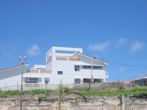 　沖永良部島植物愛好会２BLOG