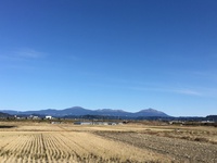 冷たいけど気持ちいいい！