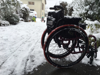 久しぶりの大雪