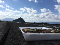 暖かい1日