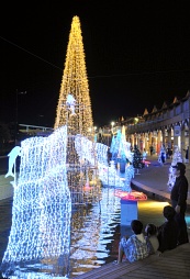 もうすぐクリスマス/ドルフィンポート (Nov.2-8)
