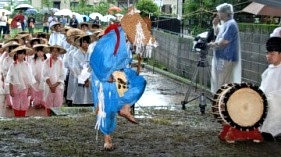 鹿児島神宮で御田植え祭/霧島市