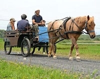 レトロ馬車が復活　東串良町