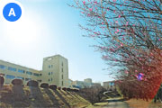 志学館大 鹿児島市に移転へ (Oct.27-Nov.2)