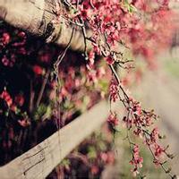 To combat fear 2015/08/21 11:53:08