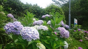 冠岳砂防公園3 冠岳砂防公園3