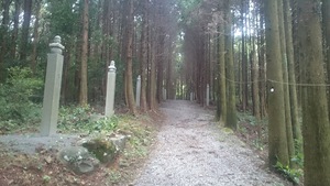 参道 参道