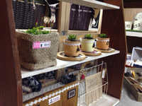 『2日間限りの…』本日！（≧∇≦）