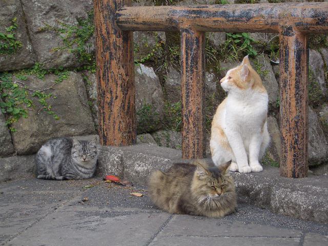 多賀山公園へ−２