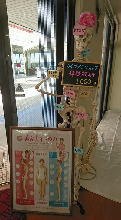 カイロプラクティック・ウィザス 湧水マルシェin丸池公園 出店 カイロプラクティック・ウィザス 湧水マルシェin丸池公園 出店