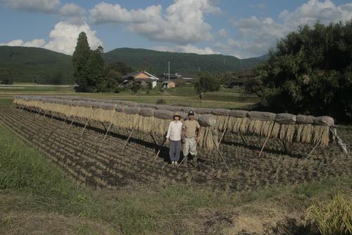 上嶋有機自然農園さん 湧水マルシェ出店 上嶋有機自然農園さん 湧水マルシェ出店