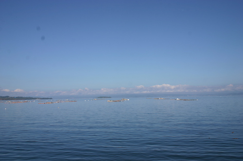 錦江湾 錦江湾