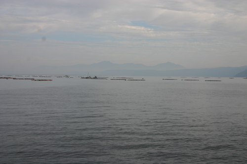 錦江湾 錦江湾