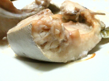 頂き物!
