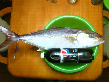 頂き物!