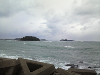 昨日の海・・・