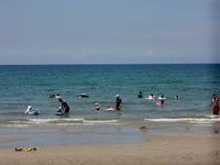 海