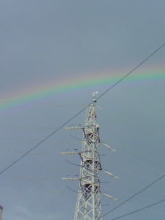 昨日の虹。